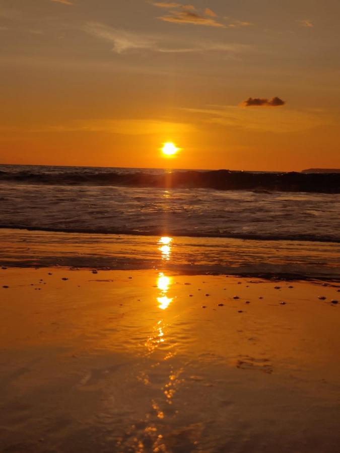 Cabinas Pura Vida B&B Tour Operator Drakes Bay 外观 照片