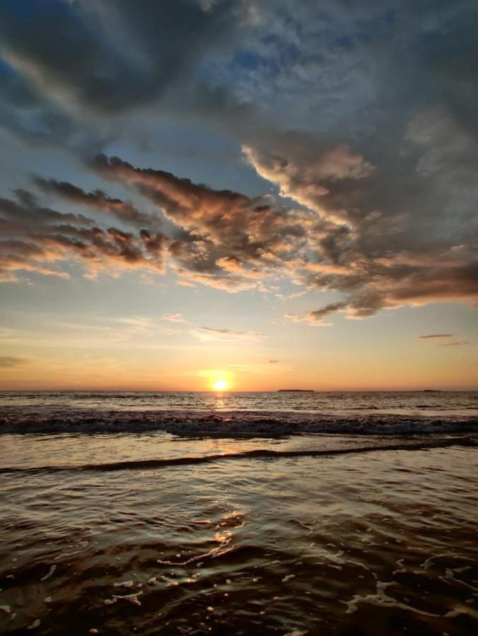 Cabinas Pura Vida B&B Tour Operator Drakes Bay 外观 照片