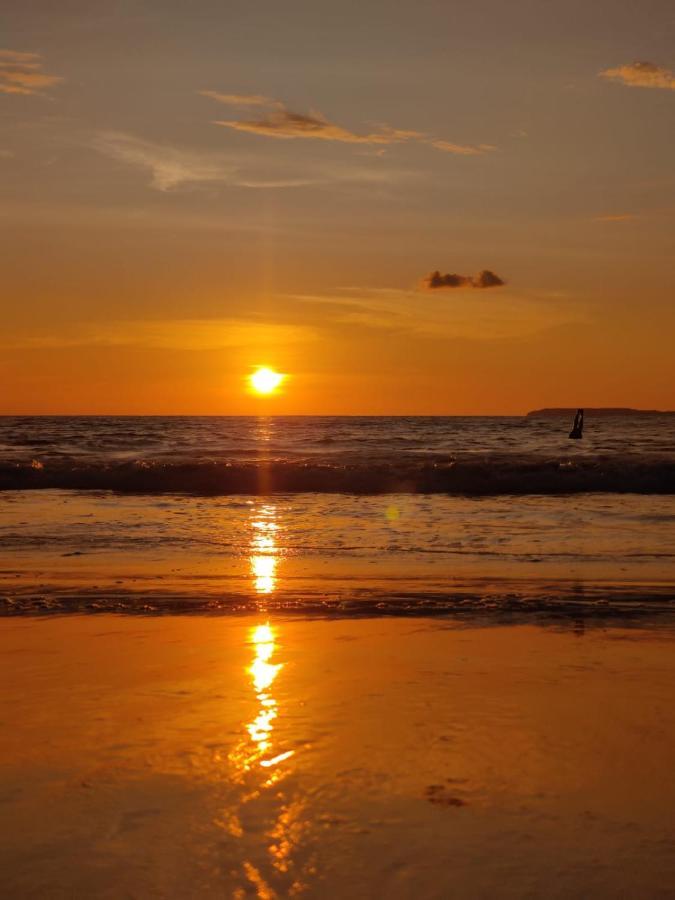 Cabinas Pura Vida B&B Tour Operator Drakes Bay 外观 照片