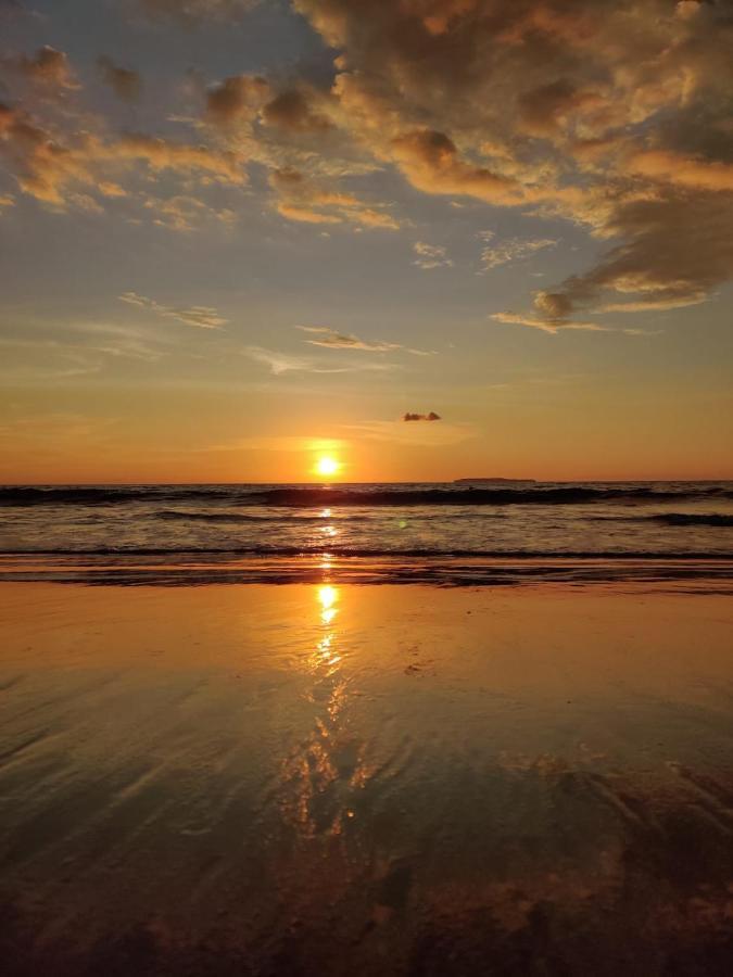 Cabinas Pura Vida B&B Tour Operator Drakes Bay 外观 照片