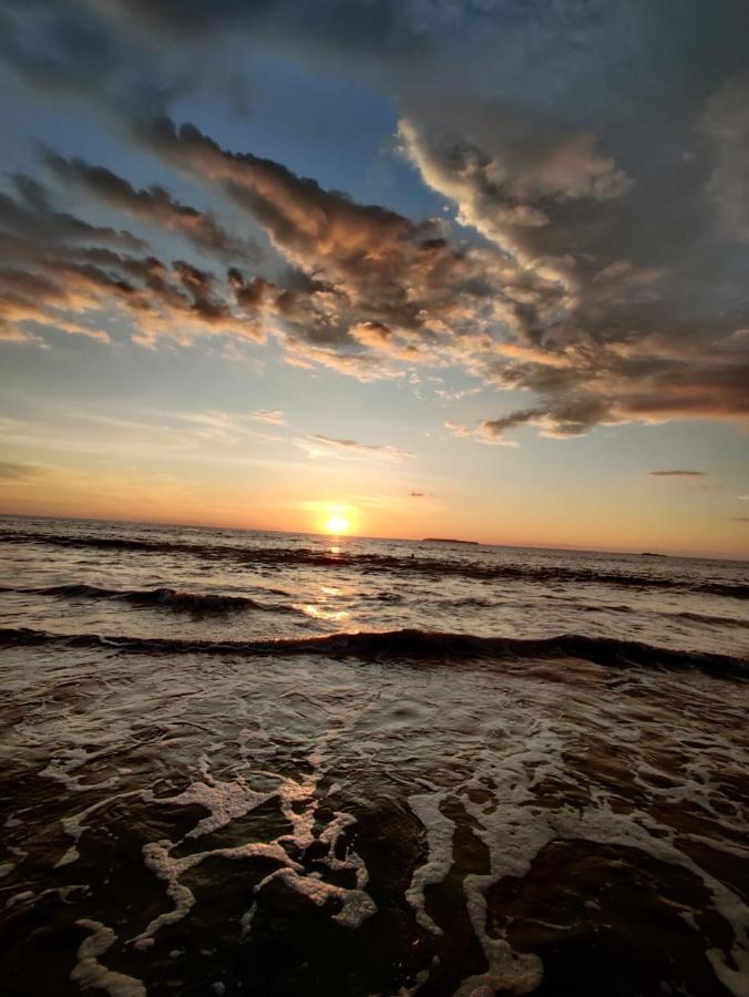 Cabinas Pura Vida B&B Tour Operator Drakes Bay 外观 照片