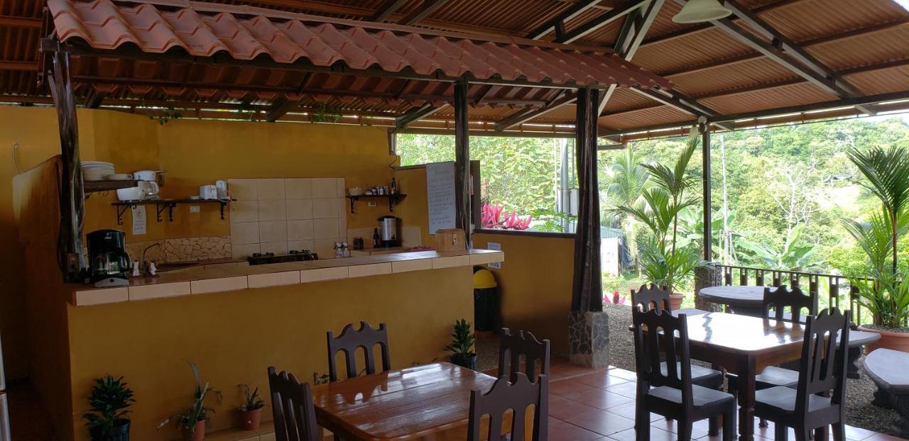 Cabinas Pura Vida B&B Tour Operator Drakes Bay 外观 照片
